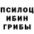 Псилоцибиновые грибы Cubensis Bob Onit