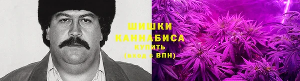 мяу мяу мука Алзамай