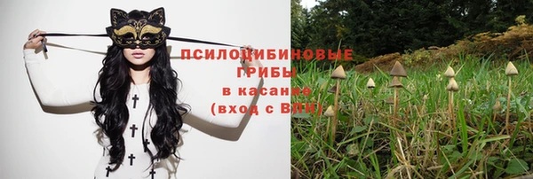 винт Алексин